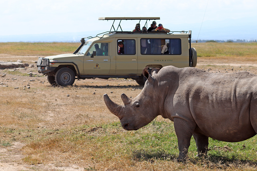 Rhinos at Mount Kenya Safari Club