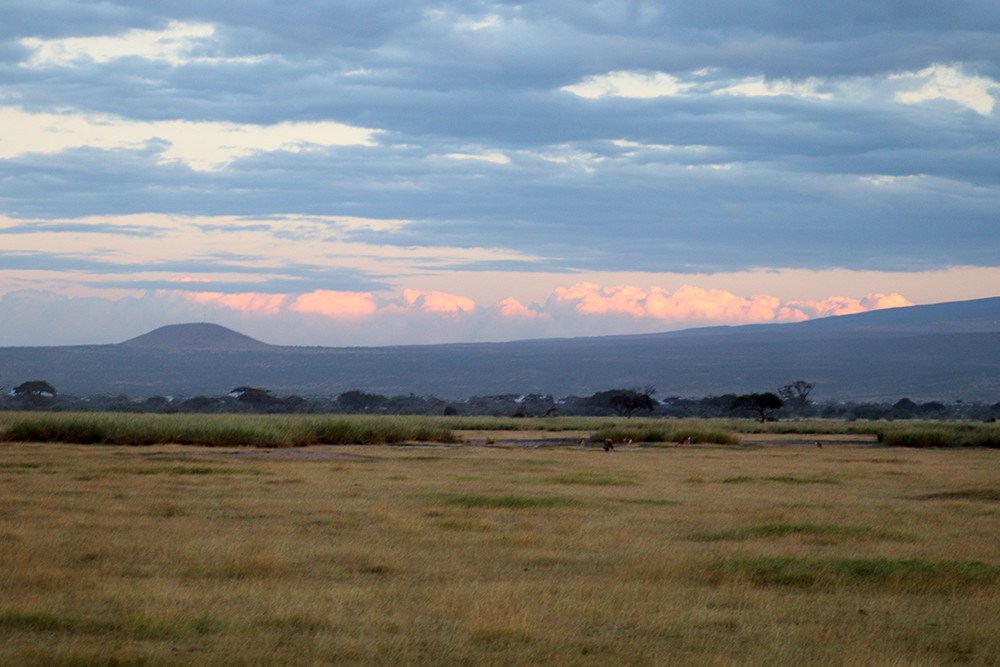 Sunset in Amboseli National Park