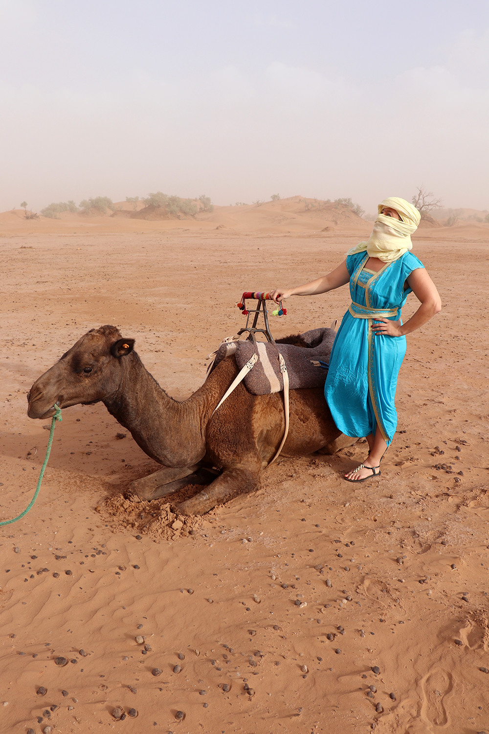 Camping in the Sahara - Arriving at the Bedouin Campsite