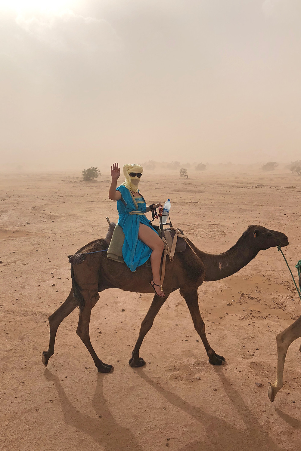 Camping in the Sahara - Camel Ride to Bedouin Campsite