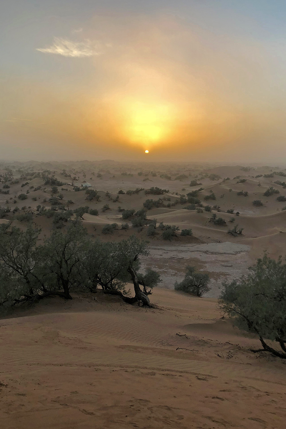 Camping in the Sahara - Sunset Over the Dunes