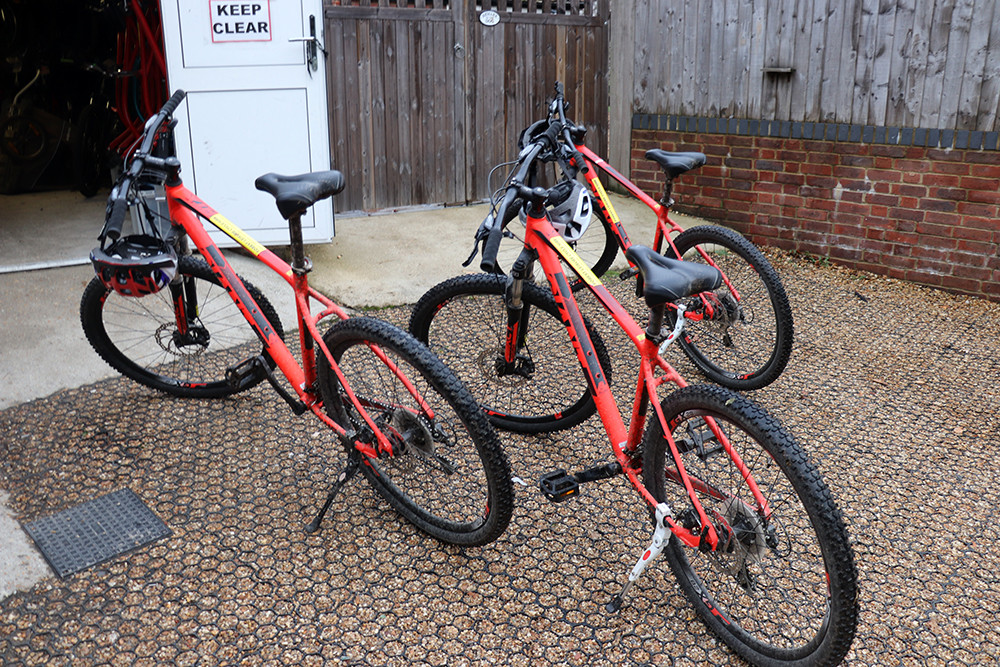 New Forest Biking from Burley