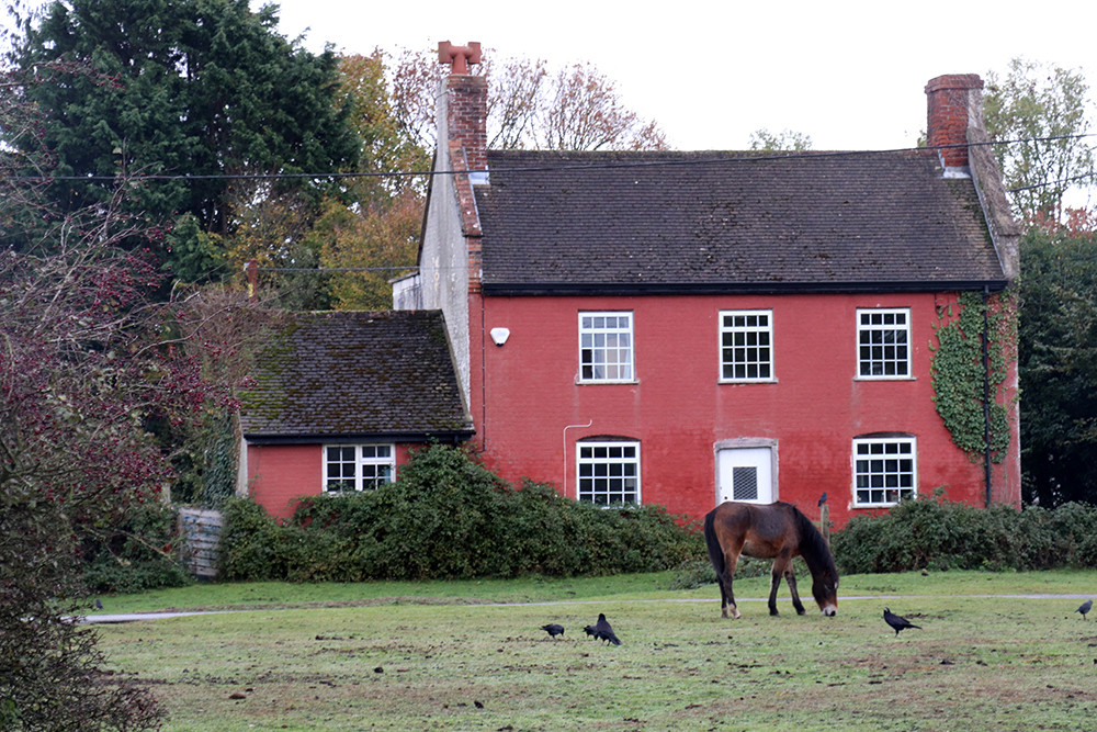Wild Horse and Red Farm House in the New Forest