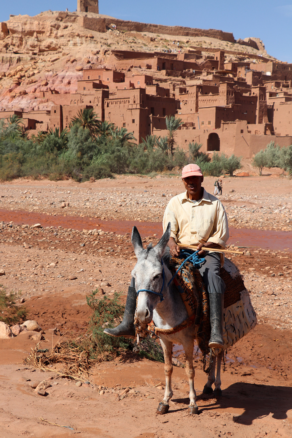 Donkey Outside the Kasbah of Ait Ben Haddou