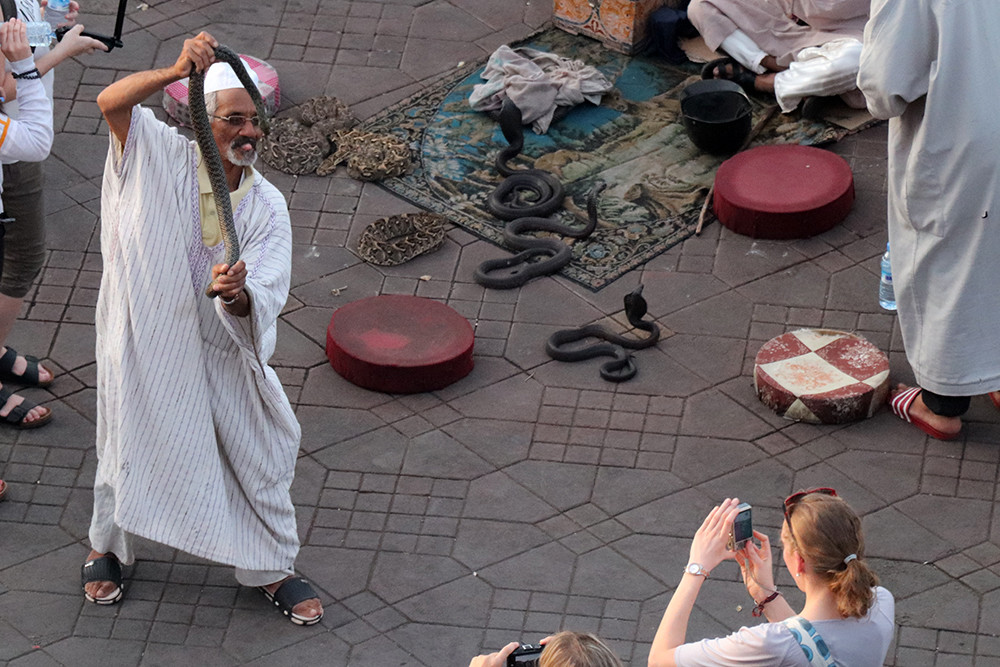 Live Snake Charmer in the Marrakesh Medina