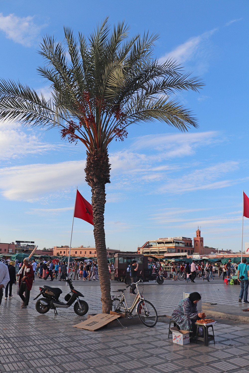 Palm Trees in the Marrakesh Medina