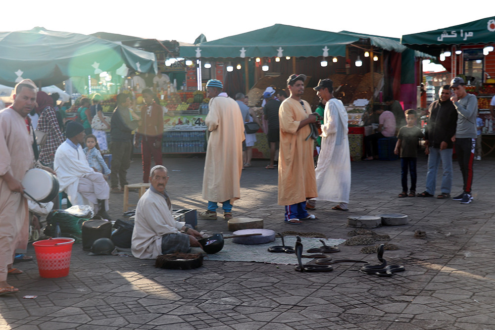 Snake Charmers Outside the Marrakesh Medina