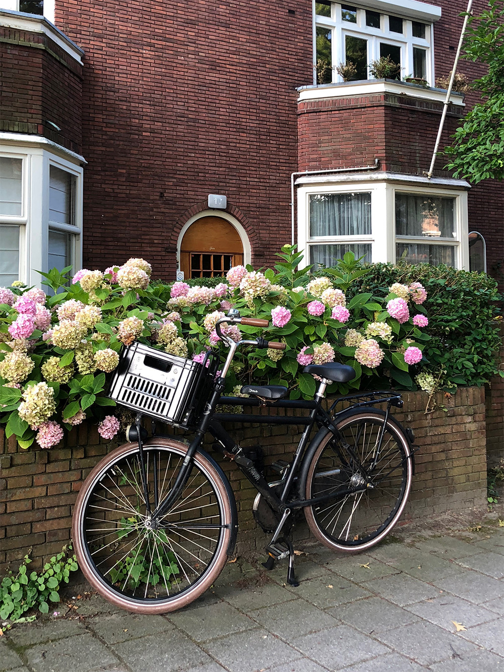 Best of Amsterdam - Bike