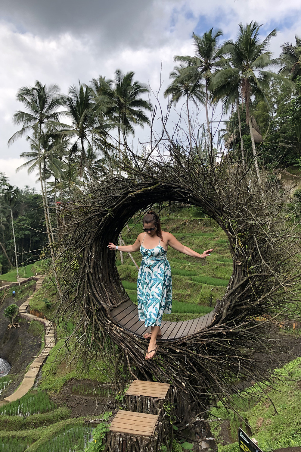 Live from Bali - Rice Terraces
