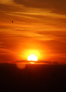 Orange Sunset from the Sky Garden