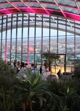Pink Light at the Sky Garden