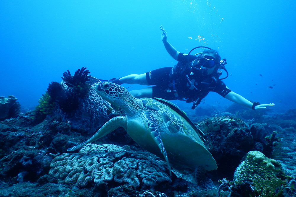 Bali Scubadiving - Giant Sea Turtle 01