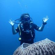 Bali Scubadiving - Kelly Diving in Tubalum