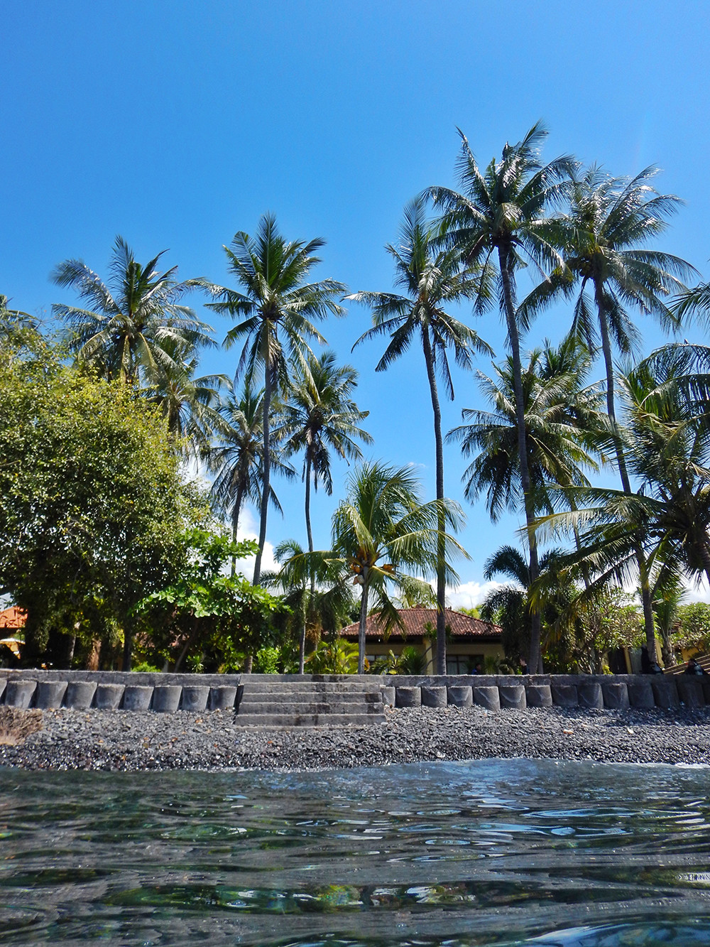 Bali Scubadiving - Palm Trees
