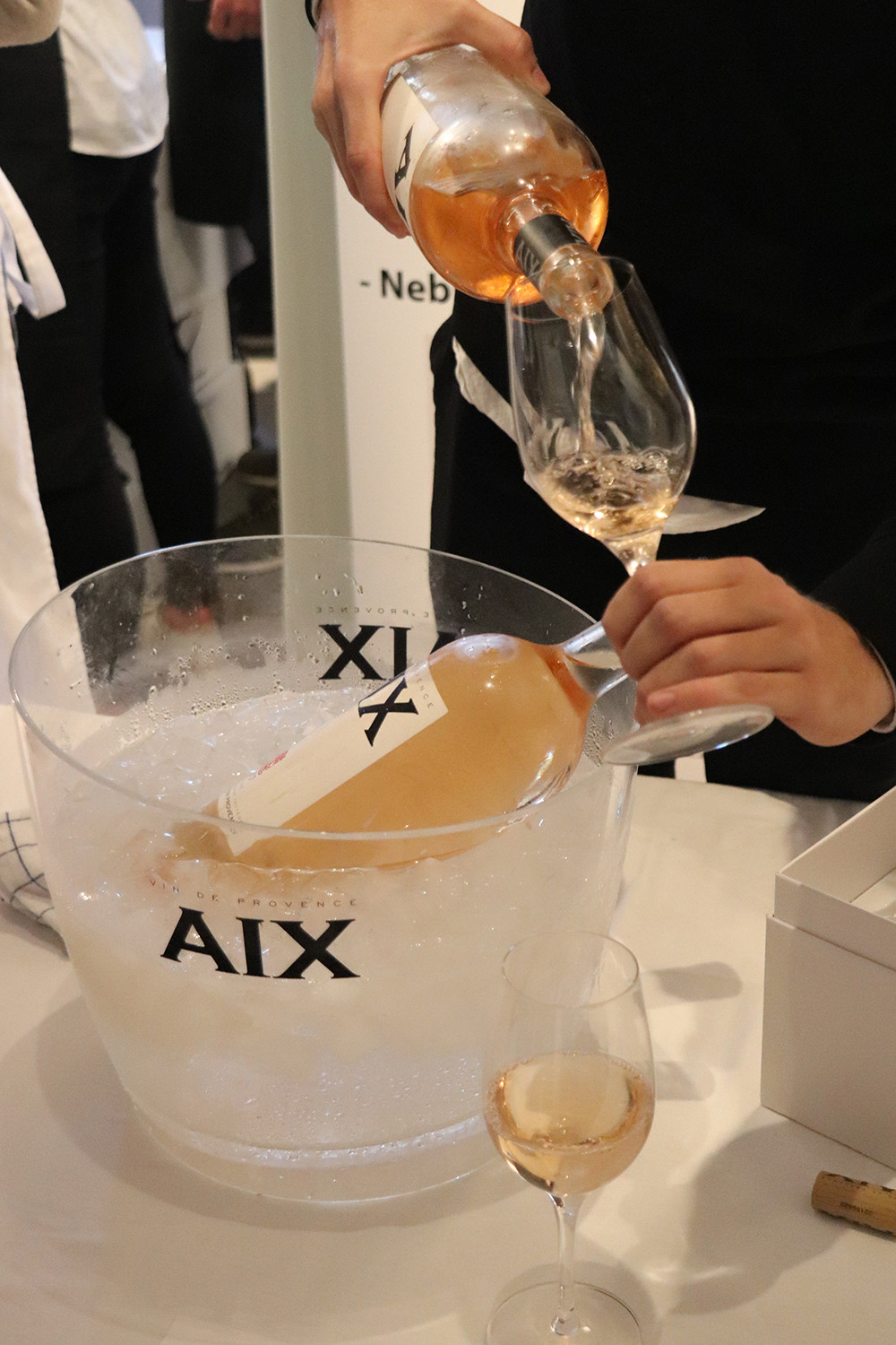 Copenhagen Rose Festival - AIX Rose
