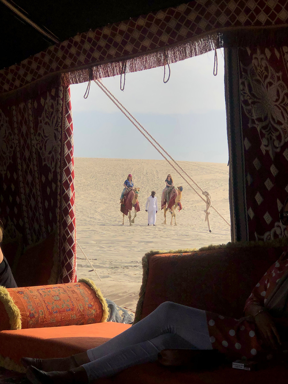 Qatar Sand Dunes - Camel Rides