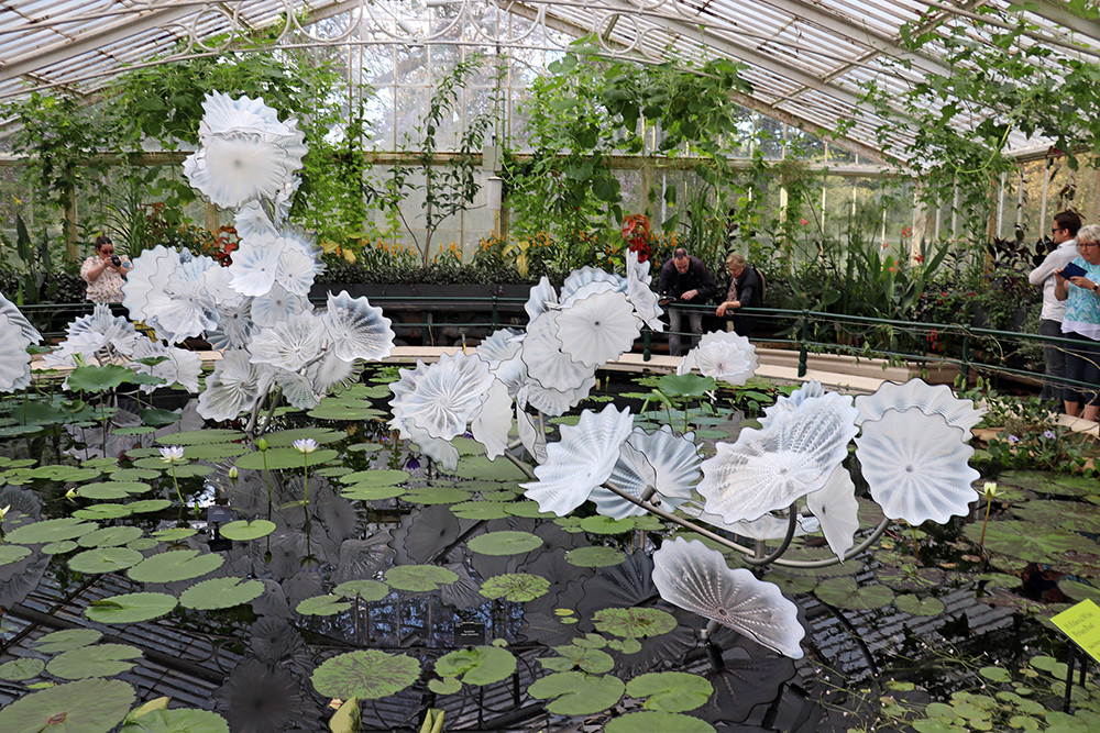 Chihuly Glass at Kew Gardens in the Waterlily House