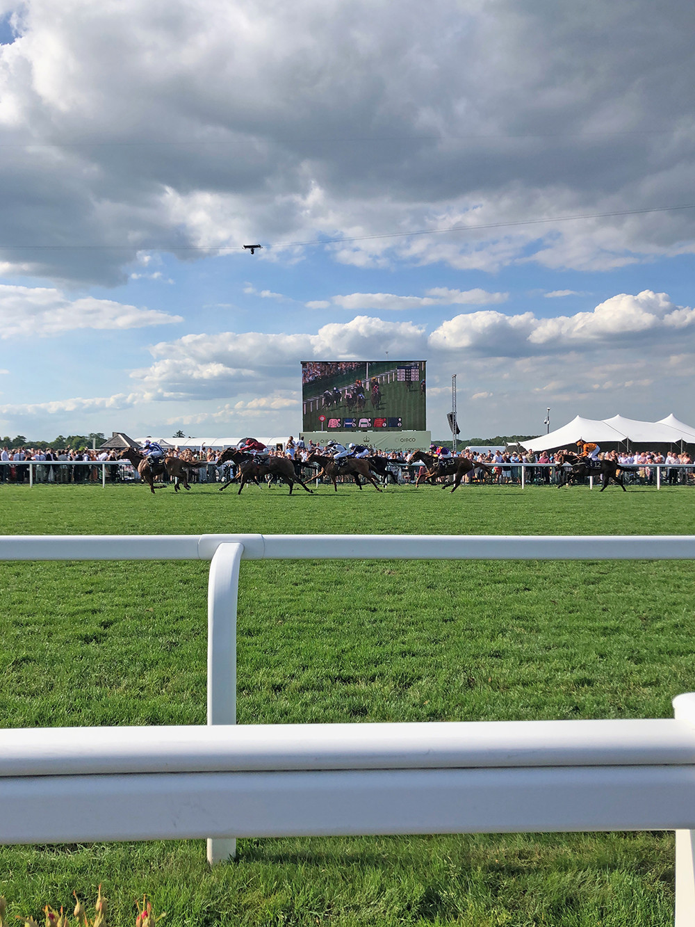 Horses Running at Royal Ascot