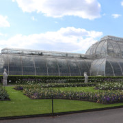 Palm House at Kew Gardens