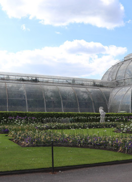 Palm House at Kew Gardens