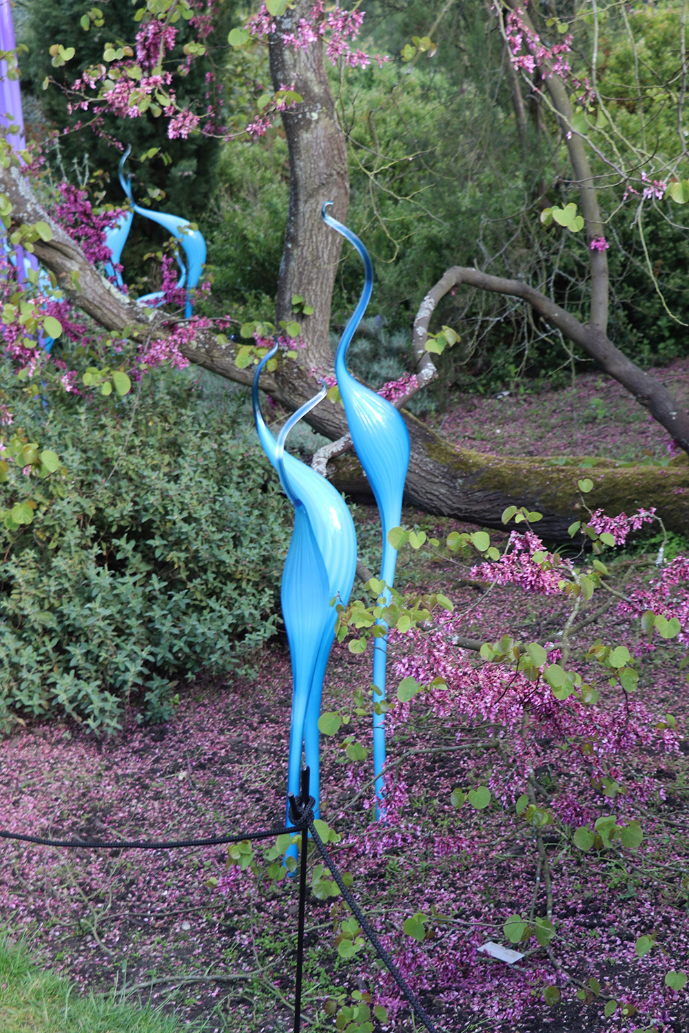 Purple and Blue Pipes at Chihuly Glass at Kew Gardens