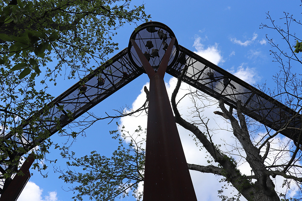 Tree Top Walkway at Kew Gardens