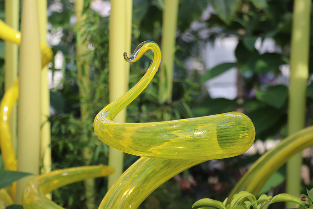 Yellow Temperate House Sculpture at Chihuly Glass at Kew Gardens