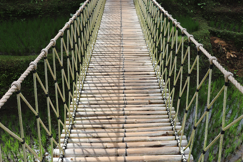 Bridge at Tegallalang Rice Terraces