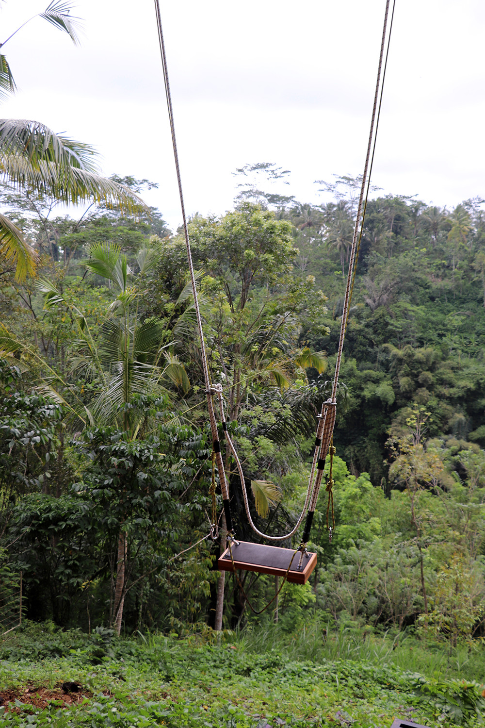 Empty Swing at Tegallalang Rice Terrace