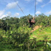 High on Natural Terrace Rice Swing at Tegallalang Rice Terrace