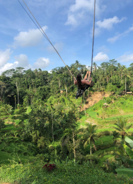 High on Natural Terrace Rice Swing at Tegallalang Rice Terrace