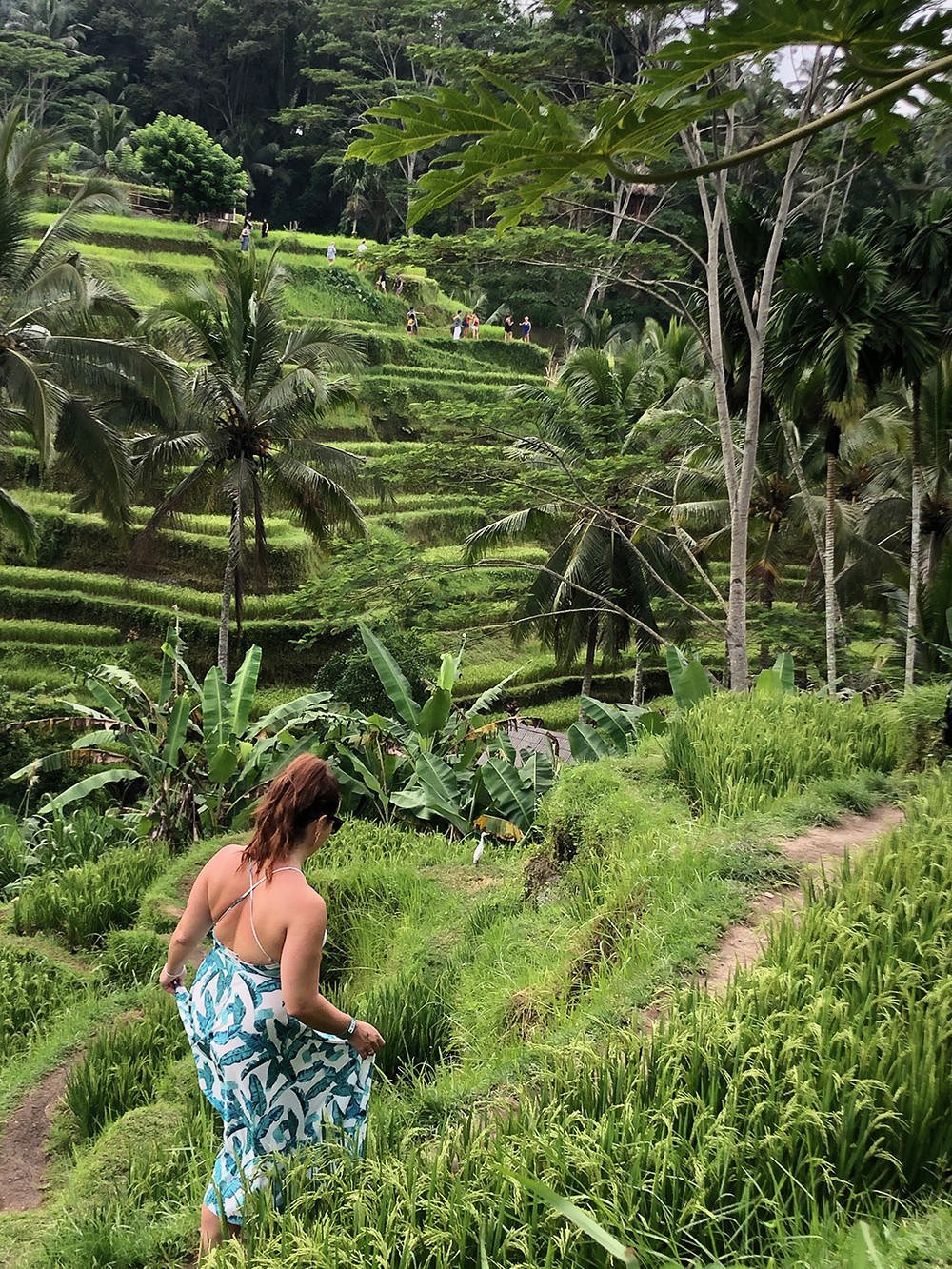 Kelly Walking in the Tegallalang Rice Terrace
