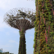 Marina Bay Sands Singapore - Gardens by the Bay