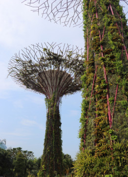 Marina Bay Sands Singapore - Gardens by the Bay