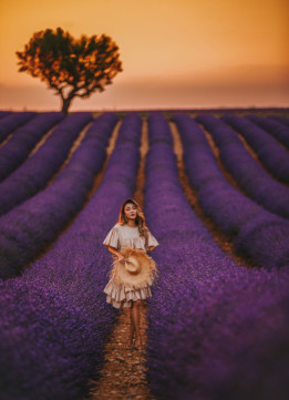 Photoshoot Inspiration - Lavender Fields