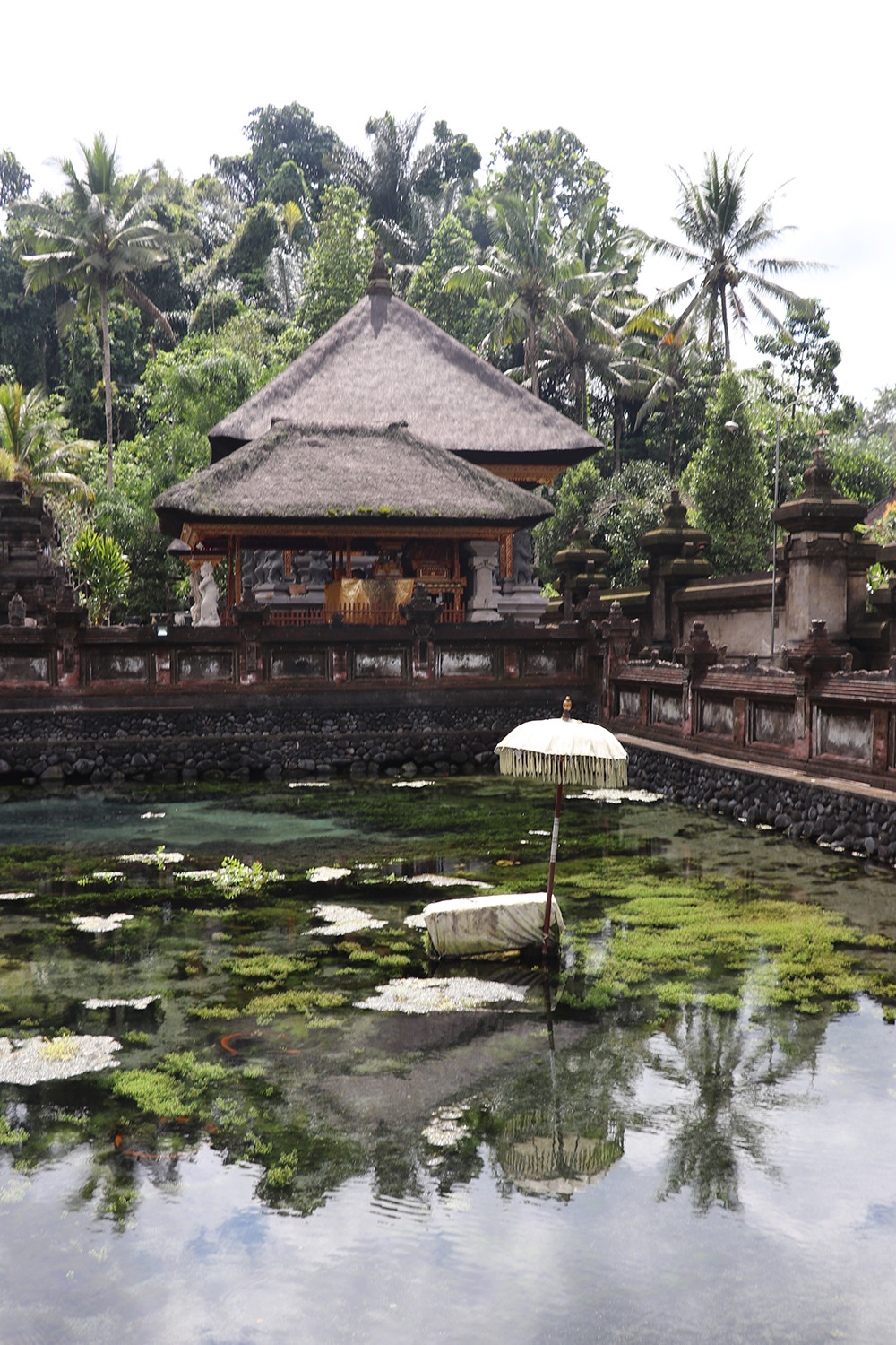 Pond at the Bali Tirta Empul Temple