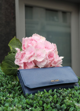 Prada Wallet - saffiano cut-corners wallet in cobalto saffiano