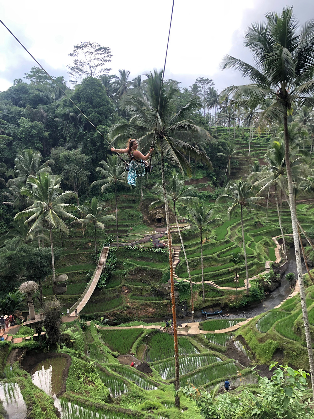 Flying High at Tegallalang Rice Terrace