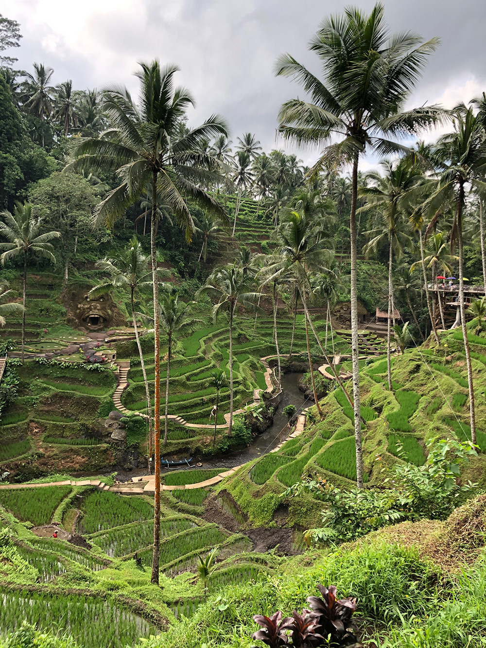 Tegallalang Rice Terraces