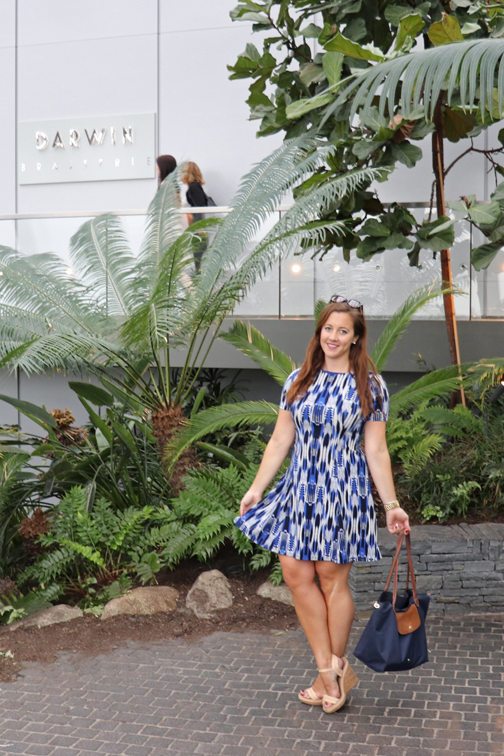 Blue Dress and Longchamp Tote Bag
