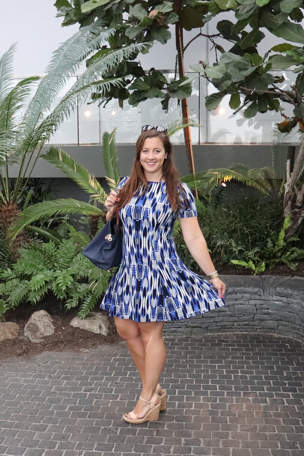 Blue Dress and Longchamp Tote