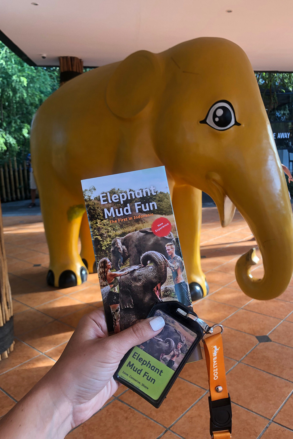 Brochure for Elephant Mud Fun Bali Zoo