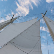 Build the Ark - Sails