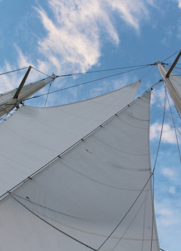 Build the Ark - Sails
