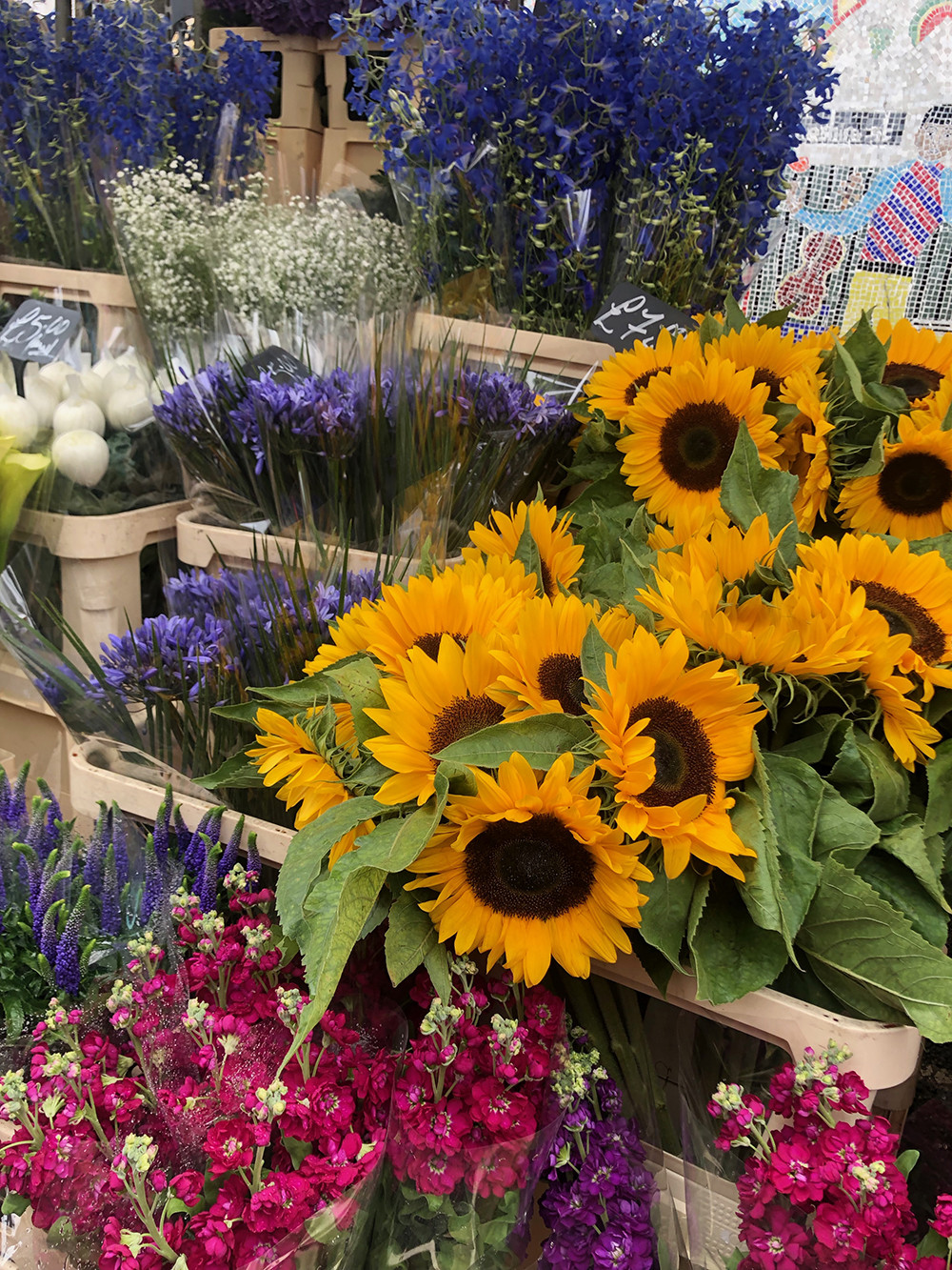 Columbia Road Flower Market Assorted Flowers