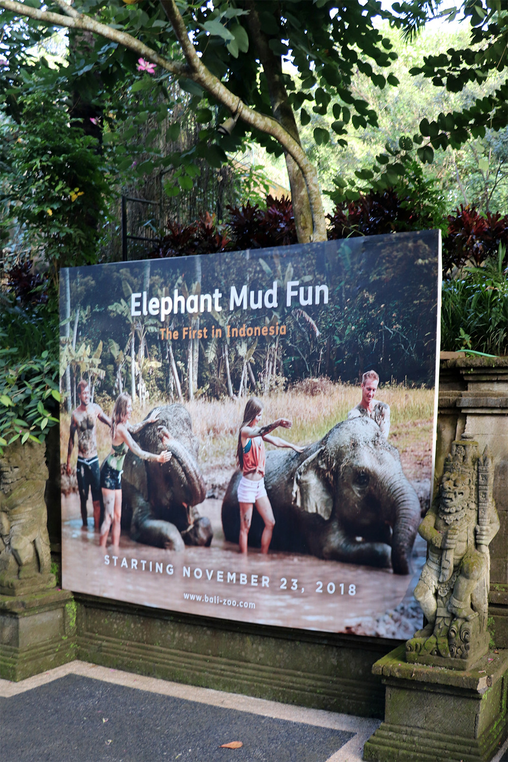 Elephant Mud Fun at the Bali Zoo