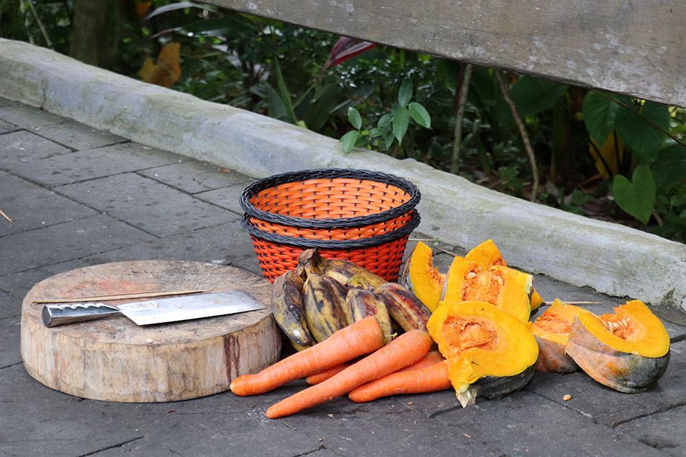 Food for the Elephants