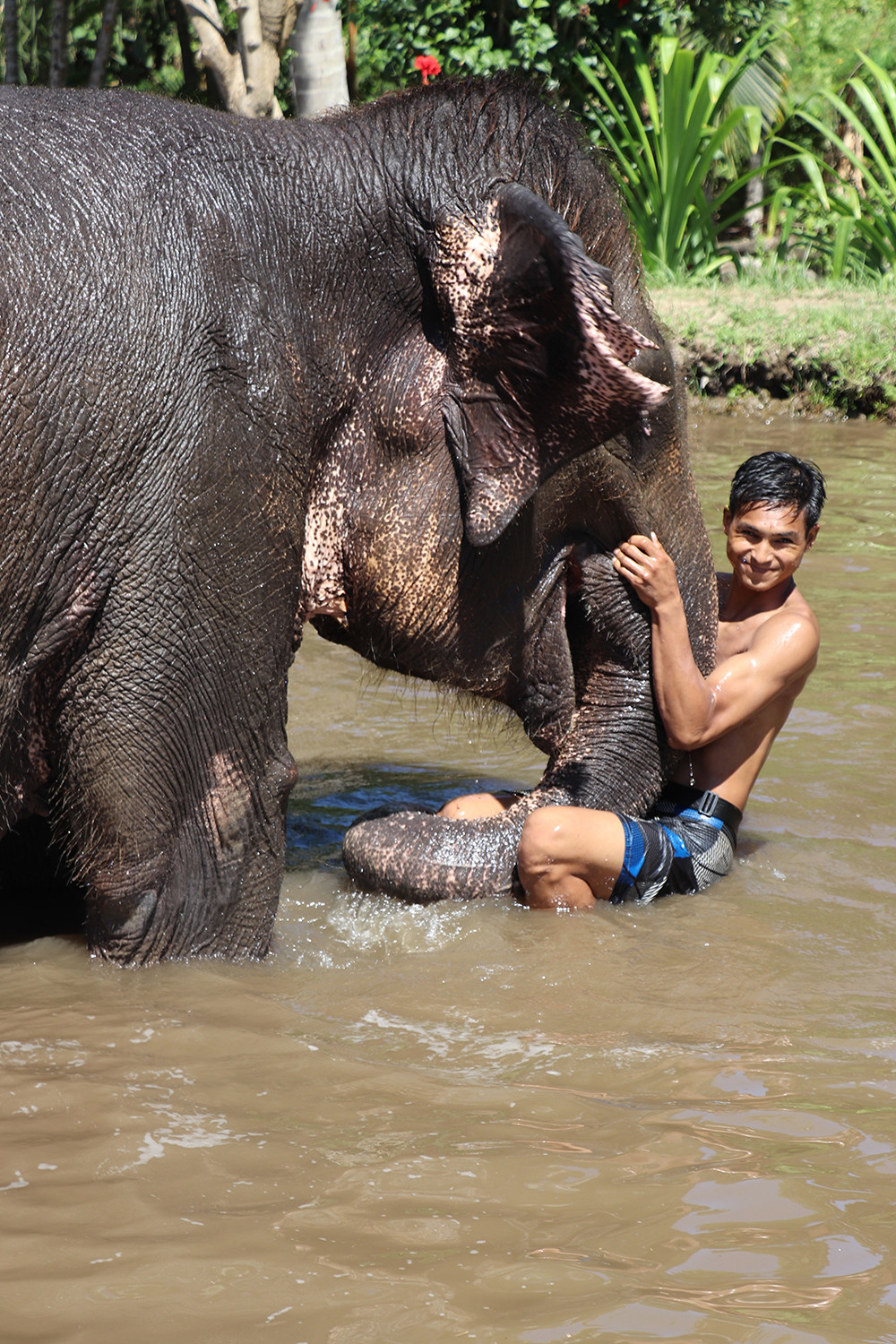 Guide Riding an Elephant