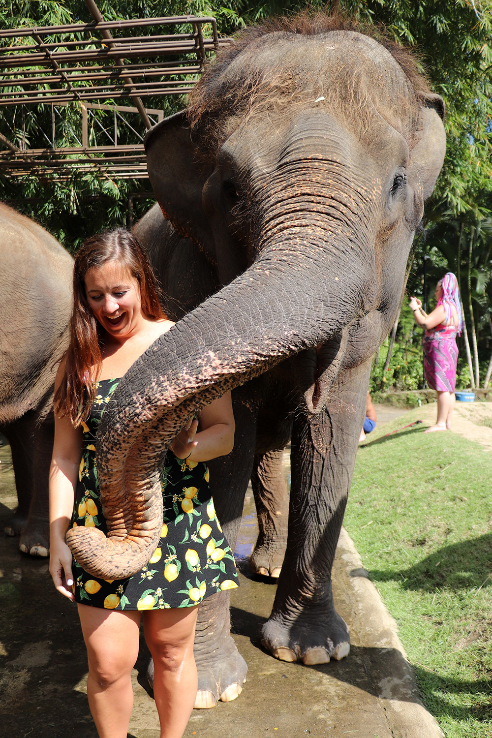Kelly Feeding an Elephant