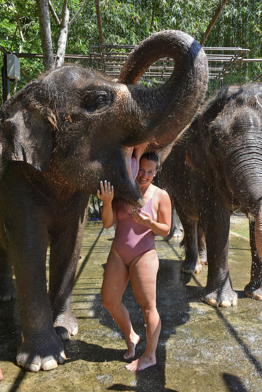 Kelly Hugging the Bali Elephants